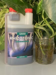 CANNA RHIZOTONIC