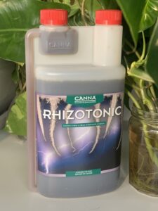 CANNA RHIZOTONIC